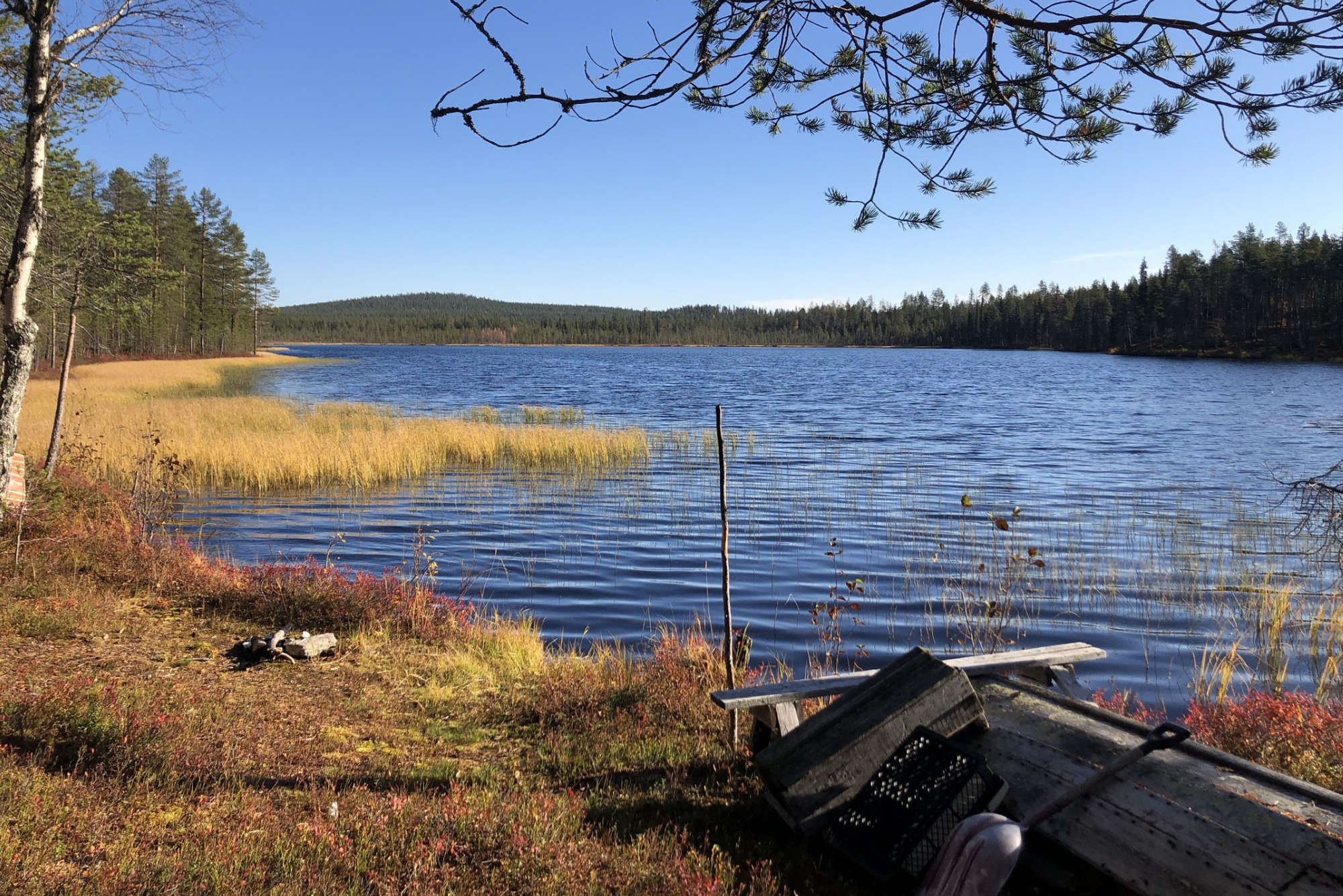 Lake fishing
